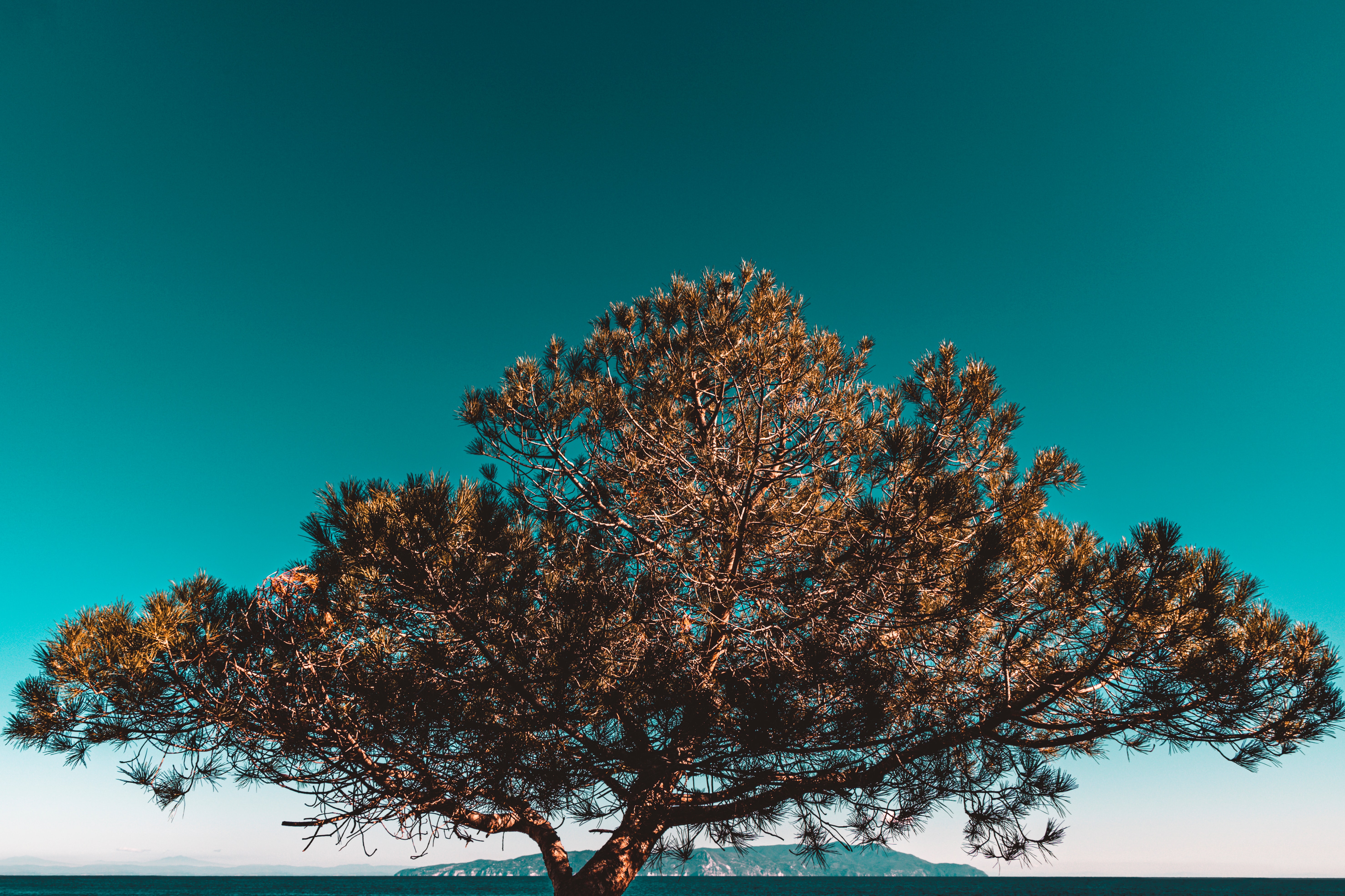 Introduction to Environmental, Social, and Corporate Governance ESG101